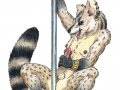 PoleCivet1.jpg